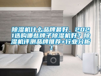 企業新聞除濕機什么品牌最好，2021選購哪些牌子除濕機好？除濕機評測品牌推薦+行業分析！