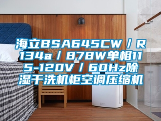 行業新聞海立BSA645CW／R134a／878W單相115-120V／60Hz除濕干洗機柜空調壓縮機