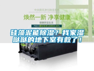企業(yè)新聞硅藻泥能除濕？我家濕噠噠的地下室有救了！