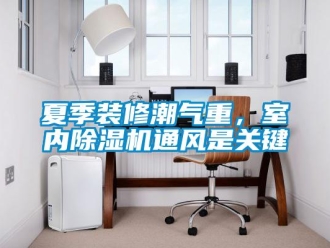 知識百科夏季裝修潮氣重，室內除濕機通風是關鍵