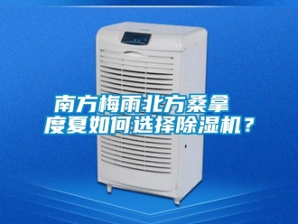 常見問題南方梅雨北方桑拿 度夏如何選擇除濕機？