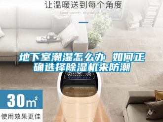 行業新聞地下室潮濕怎么辦 如何正確選擇除濕機來防潮