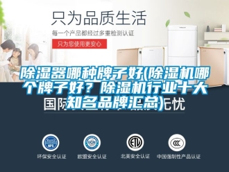 企業(yè)新聞除濕器哪種牌子好(除濕機(jī)哪個(gè)牌子好？除濕機(jī)行業(yè)十大知名品牌匯總)