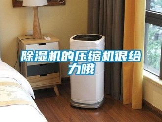 常見問題除濕機的壓縮機很給力哦