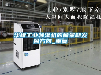 常見問題淺析工業除濕機的前景和發展方向_重復