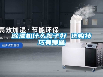 行業(yè)新聞除濕機(jī)什么牌子好 選購技巧有哪些