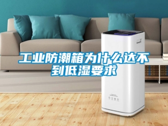 常見問題工業防潮箱為什么達不到低濕要求