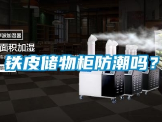常見問題鐵皮儲物柜防潮嗎？