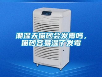 常見(jiàn)問(wèn)題潮濕天貓砂會(huì)發(fā)霉嗎，貓砂容易濕了發(fā)霉