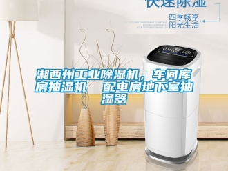 常見問題湘西州工業除濕機，車間庫房抽濕機  配電房地下室抽濕器