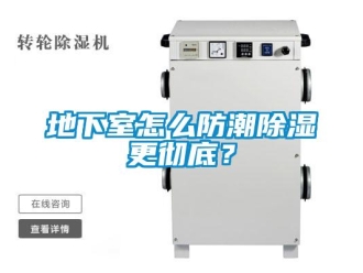 企業(yè)新聞地下室怎么防潮除濕更徹底？