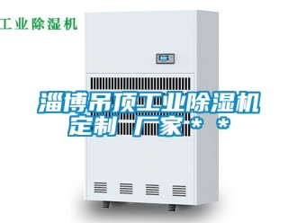 企業(yè)新聞淄博吊頂工業(yè)除濕機定制 廠家＊＊