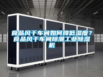 常見問題食品風干車間如何降低濕度？食品風干車間除潮工業除濕機