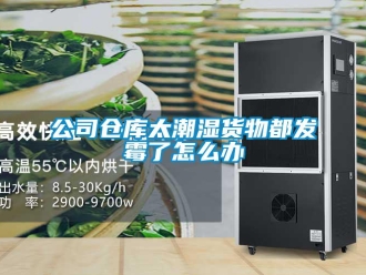 常見問題公司倉庫太潮濕貨物都發霉了怎么辦