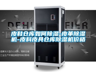企業(yè)新聞皮鞋倉(cāng)庫(kù)如何除濕-皮革除濕機(jī)-皮料皮具倉(cāng)庫(kù)除濕機(jī)價(jià)格