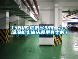 常見問題工業用除濕機多少錢一臺（除濕機實體店哪里有賣的）