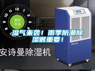常見問題濕氣來襲！雨季防潮除濕很重要！