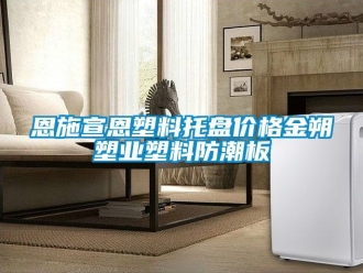 常見問題恩施宣恩塑料托盤價格金朔塑業塑料防潮板