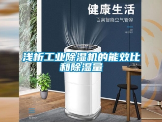 行業新聞淺析工業除濕機的能效比和除濕量