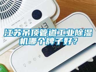 常見問題江蘇吊頂管道工業除濕機哪個牌子好？