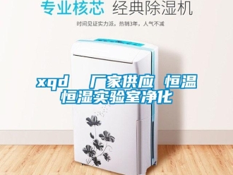 常見問(wèn)題xqd  廠家供應(yīng) 恒溫恒濕實(shí)驗(yàn)室凈化