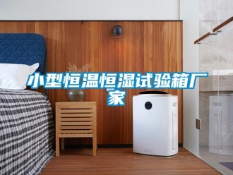 知識(shí)百科小型恒溫恒濕試驗(yàn)箱廠家