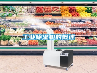 常見問題工業(yè)除濕機(jī)的概述