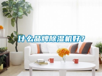 知識百科什么品牌除濕機好？