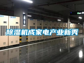 企業新聞除濕機成家電產業新秀