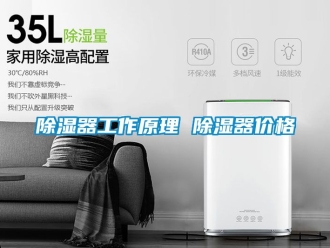 行業(yè)新聞除濕器工作原理 除濕器價(jià)格