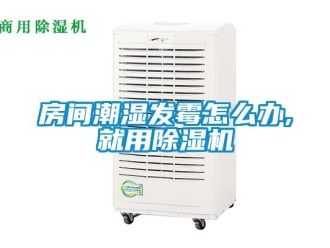 常見問題房間潮濕發霉怎么辦,就用除濕機