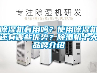 企業(yè)新聞除濕機有用嗎？使用除濕機還有哪些優(yōu)勢？除濕機十大品牌介紹