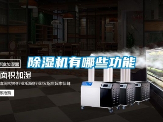 行業(yè)新聞除濕機有哪些功能