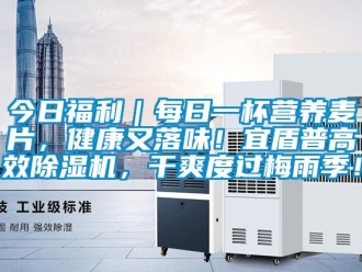 行業(yè)新聞今日福利｜每日一杯營養(yǎng)麥片，健康又落味！宜盾普高效除濕機，干爽度過梅雨季！