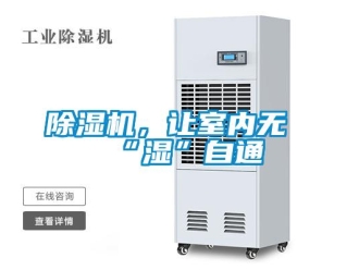 常見問題除濕機，讓室內無“濕”自通