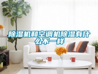 行業(yè)新聞除濕機(jī)和空調(diào)機(jī)除濕有什么不一樣