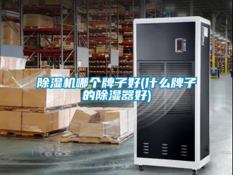 行業新聞除濕機哪個牌子好(什么牌子的除濕器好)