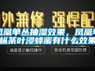 企業新聞鳳凰單叢抽濕效果，鳳凰單樅荼葉浸蜂蜜有什么效果