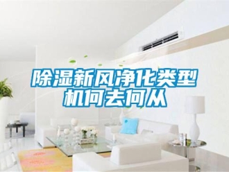 企業新聞除濕新風凈化類型機何去何從