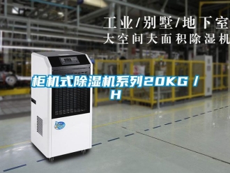 行業新聞柜機式除濕機系列20KG／H