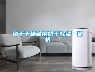 知識百科魚干干燥就用烘干除濕一體機