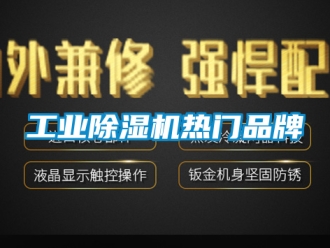 常見問題工業除濕機熱門品牌