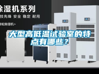 常見問題大型高低溫試驗室的特點有哪些？