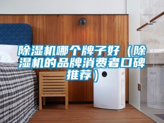 企業新聞除濕機哪個牌子好（除濕機的品牌消費者口碑推薦）