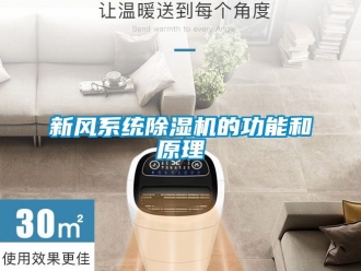 常見問題新風系統除濕機的功能和原理