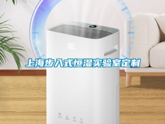 知識百科上海步入式恒濕實驗室定制