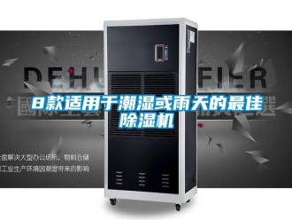 企業新聞8款適用于潮濕或雨天的最佳除濕機