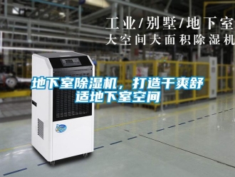 行業新聞地下室除濕機，打造干爽舒適地下室空間