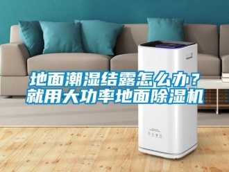 行業(yè)新聞地面潮濕結(jié)露怎么辦？就用大功率地面除濕機(jī)