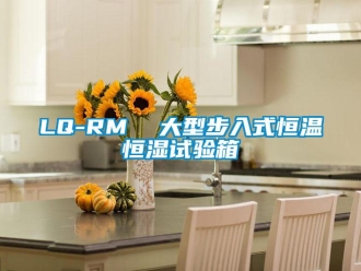 常見問題LQ-RM  大型步入式恒溫恒濕試驗箱